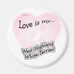 Íman O amor é o meu West Highland White Ter...