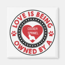 Íman O amor é propriedade de um Cocker Spaniel