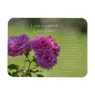 Íman O amor é rosas pacientes