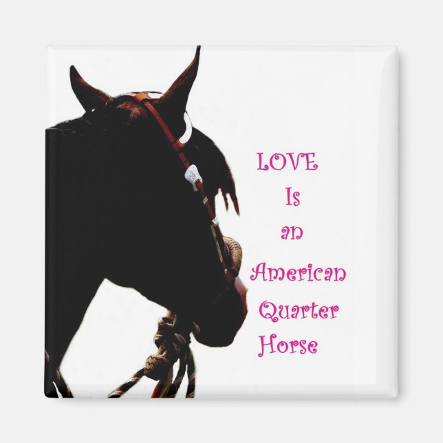 Íman O amor é um ímã de quarto cavalo (Frente)