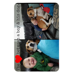 Íman o amor entre um menino & seu cão