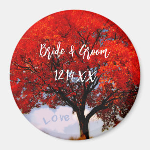 Íman O amor está no ar...