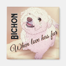O amor tem pelo Bichon