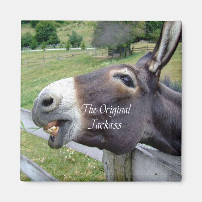 Íman O animal de Fazenda original doido e engraçado (Frente)