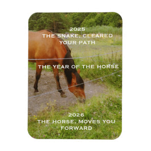 Íman O ano do Cavalo, 2026
