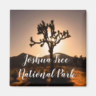 Íman O anoitecer começa no Magnete Joshua Tree