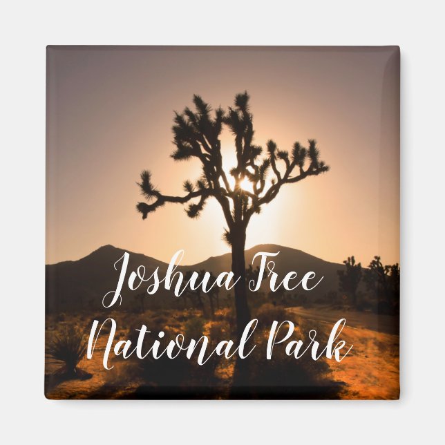 Íman O anoitecer começa no Magnete Joshua Tree (Frente)