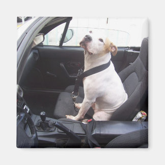 Íman O Anti Michael Vick