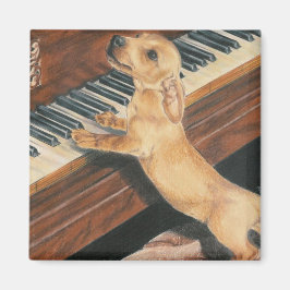 Íman O Aprendiz de Mozart