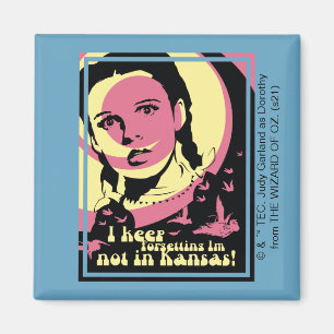 Íman O Assistente De Oz™   Não estou no Kansas