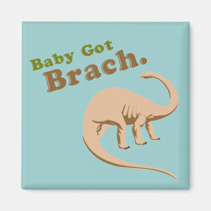 Íman O bebê obteve Brach