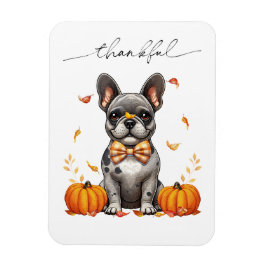 Íman O Bulldog Francês Caiu Graças Deixa Pumpkins
