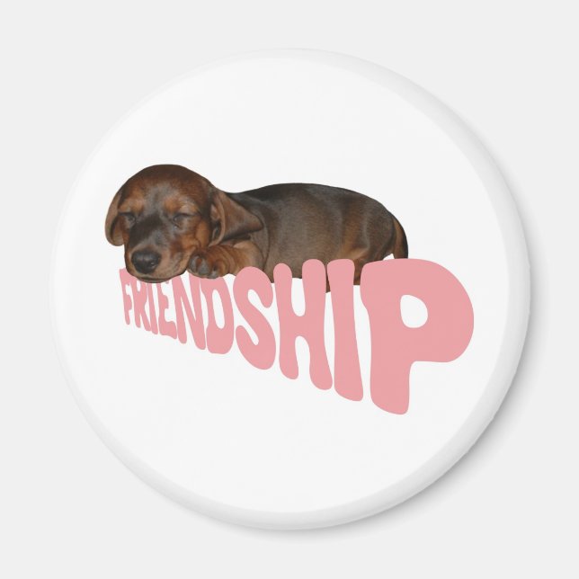 Íman O cachorro de amizade / cachorro é o melhor amigo  (Frente)