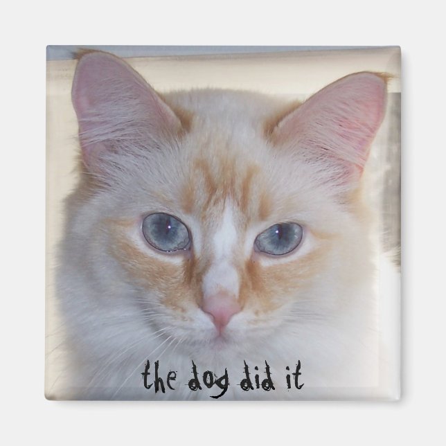 ÍMAN O CACHORRO FEZ ISSO (Frente)