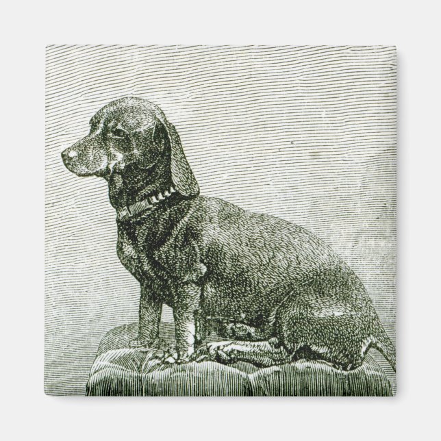 Íman O Cachorro Jacob (Frente)