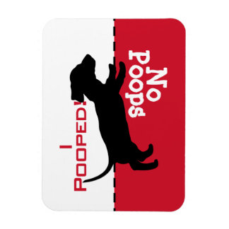 Íman O Cachorro Tem Que Ir Com O Magneta De Popas, Dach