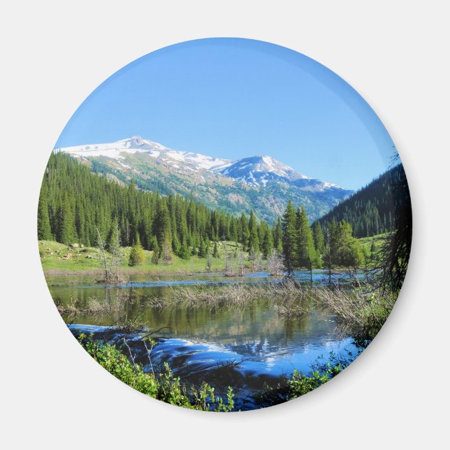 Íman O caminho para a independência (Frente)