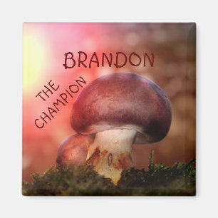 Íman O campion com o champignon