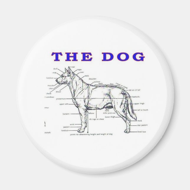 ÍMAN O CÃO (Frente)