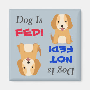 Íman O cão de filhote de cachorro é Fed/não ímã de