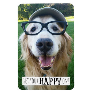 Íman O cão do golden retriever obtem seu feliz sobre