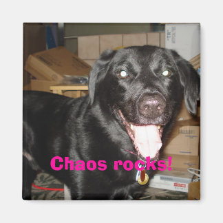 Íman O caos é demais!