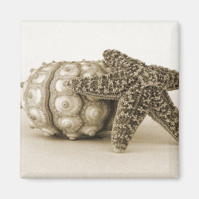 Íman O Casal Odd (Frente)