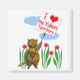 Íman O castor canadense ama o Yukon