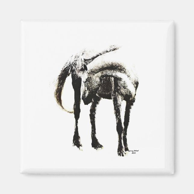 Íman O Cavalo (Frente)