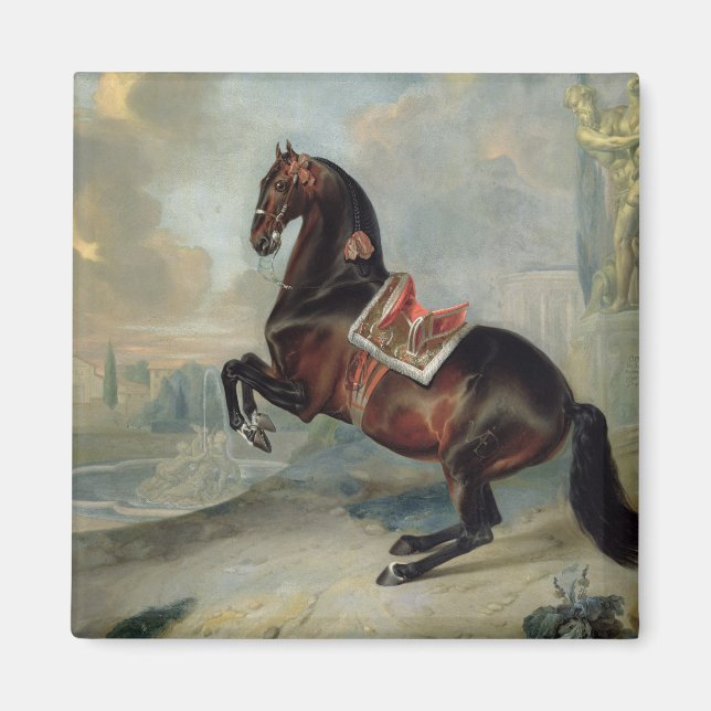 Íman O cavalo da baía escura "Valido" (Frente)