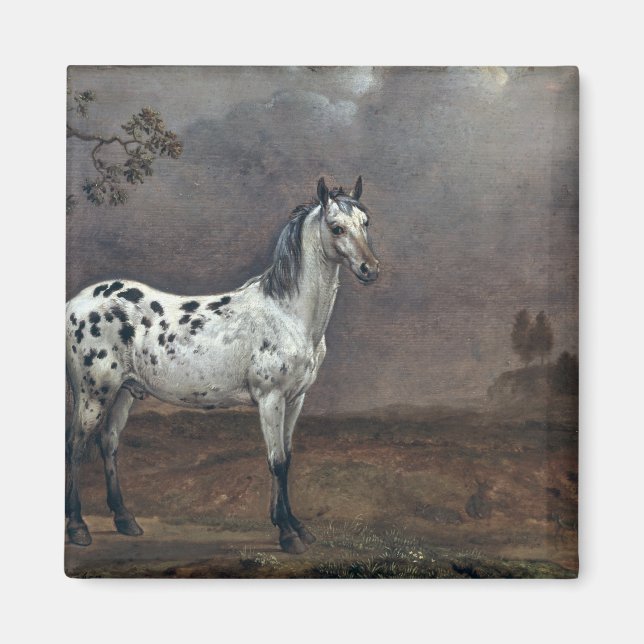 Íman O Cavalo Piebald, 1653 (Frente)