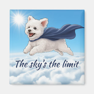 Íman O Céu é o Limite
