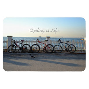 Íman O ciclismo é vida