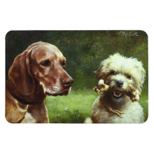 Íman O cínico e o ímã de filósofo Premium