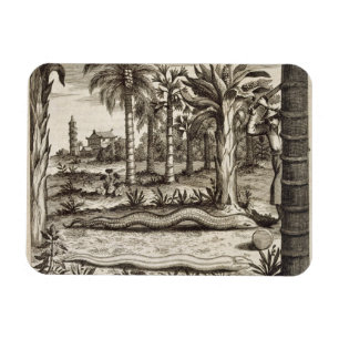 Íman O cobra de pedra, de "China ilustrou" por Athan