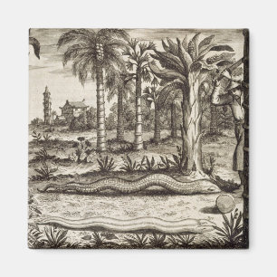 Íman O cobra de pedra, de "China ilustrou" por Athan