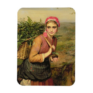 Íman O Coletor Fern