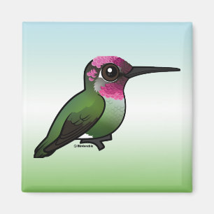Íman O colibri de Anna