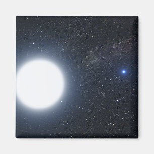 Íman O conceito do artista que mostra o sistema da