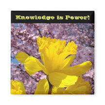 O conhecimento dos ímanes do localizador escolar é