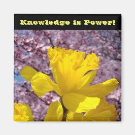 Íman O conhecimento dos ímanes do localizador escolar é