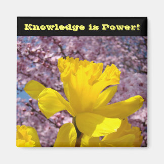 Íman O conhecimento dos ímanes do localizador escolar é