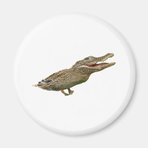 Íman O Crocoduck