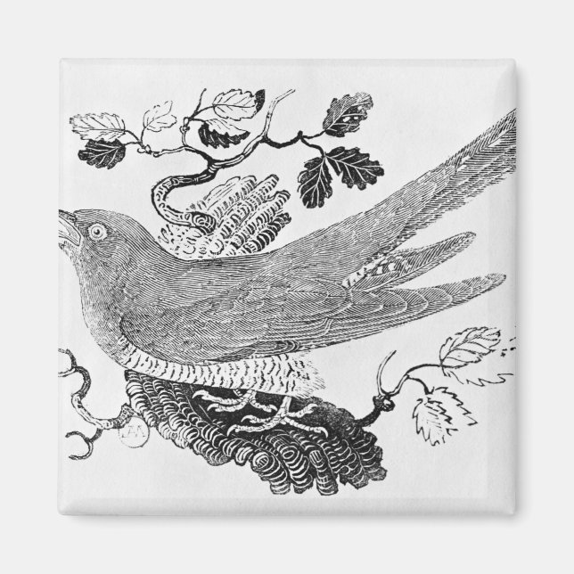 Íman O Cuco (Frente)