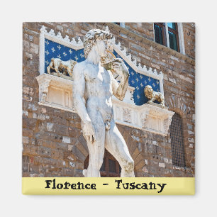 Íman O David de Michelangelo - a Florença, Toscânia,