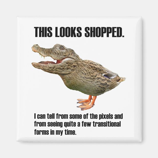 Íman O Decepção Crocoduck (Frente)