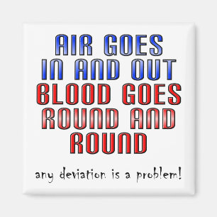 Íman O desvio é uma imã de geladeira engraçada do