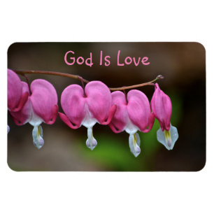 Íman O deus é corações do amor