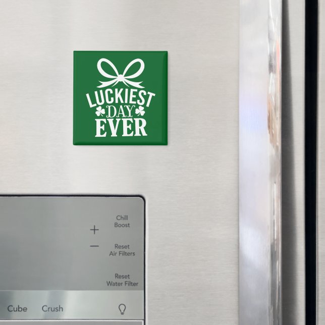 Íman O Dia Mais Feliz De Todos Os Dias de São Patrícios (In Situ (Fridge))