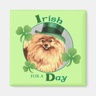 Íman O dia Pomeranian de St Patrick